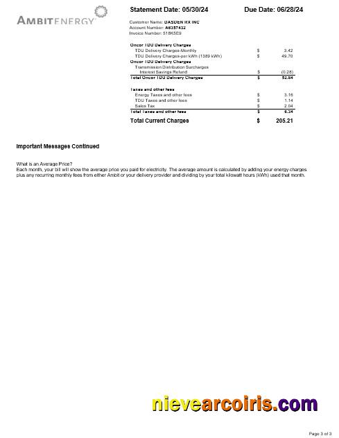 USA Ambit Energy business utility bill 3